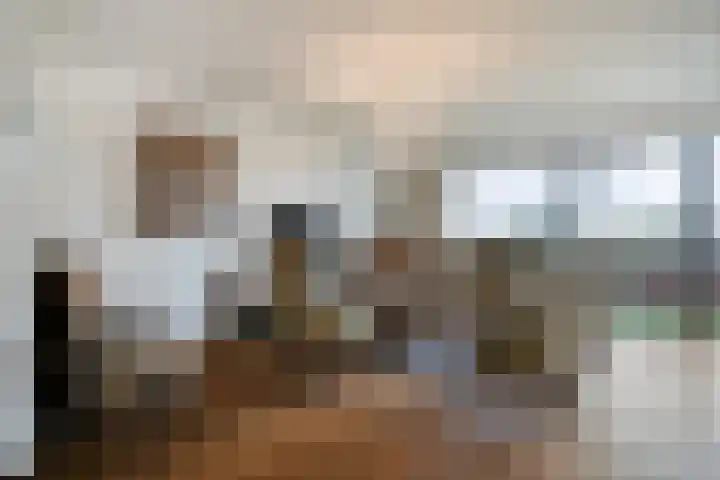 Mariënburg 21 Gemert thumbnail 5