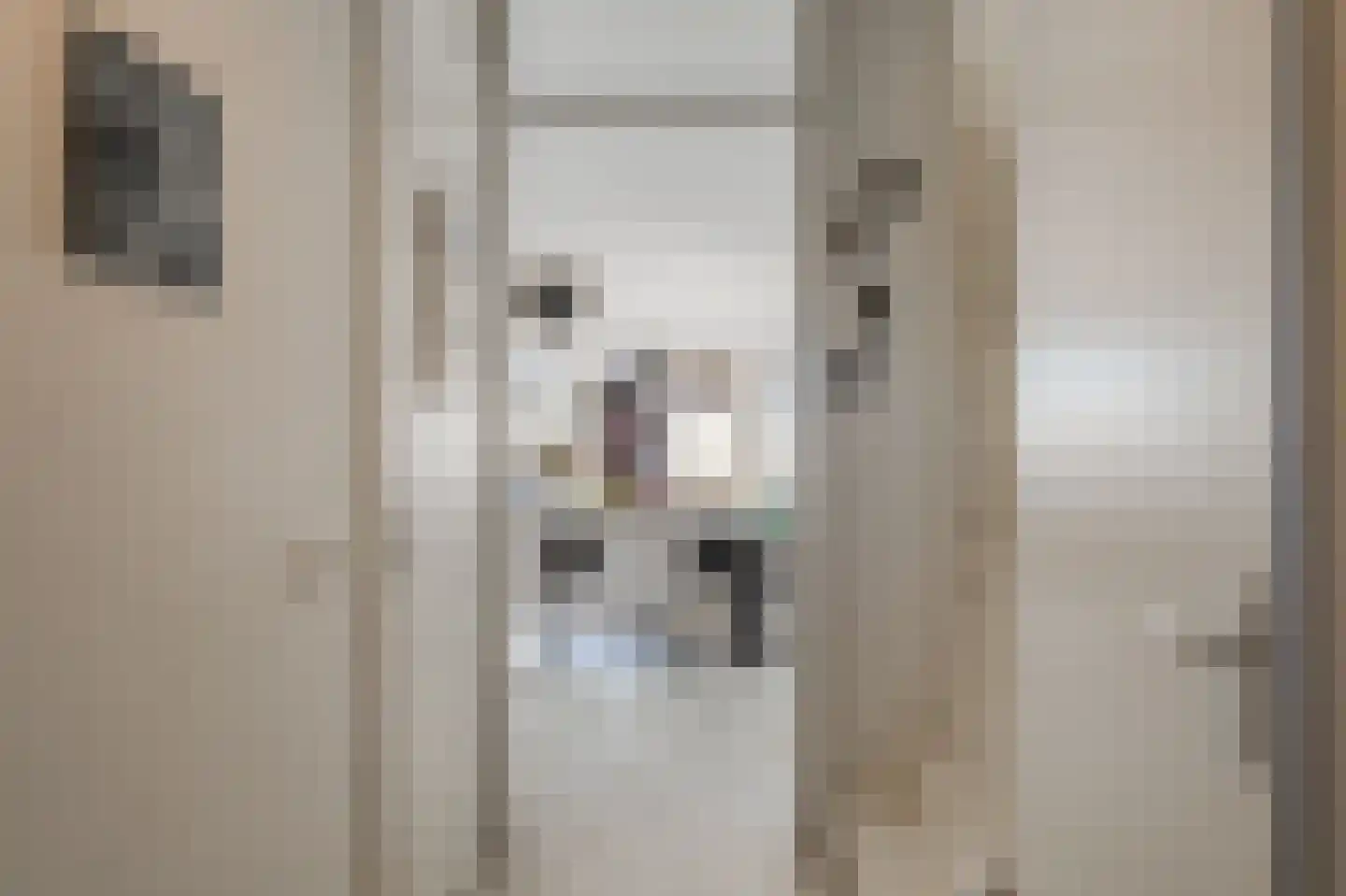 Mariënburg 308 Diemen thumbnail 8