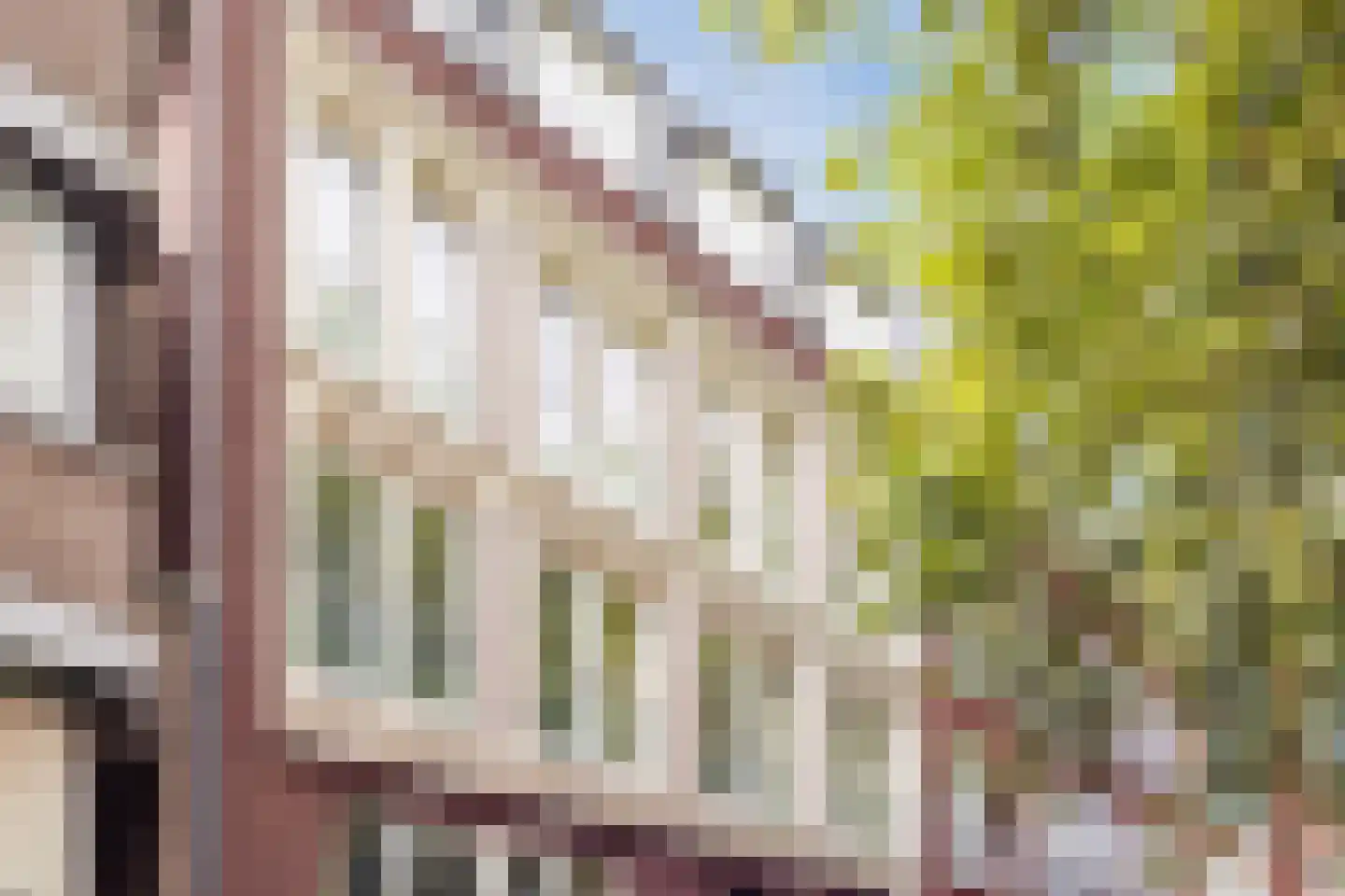 Mariënburg 88 D Nijmegen thumbnail 36