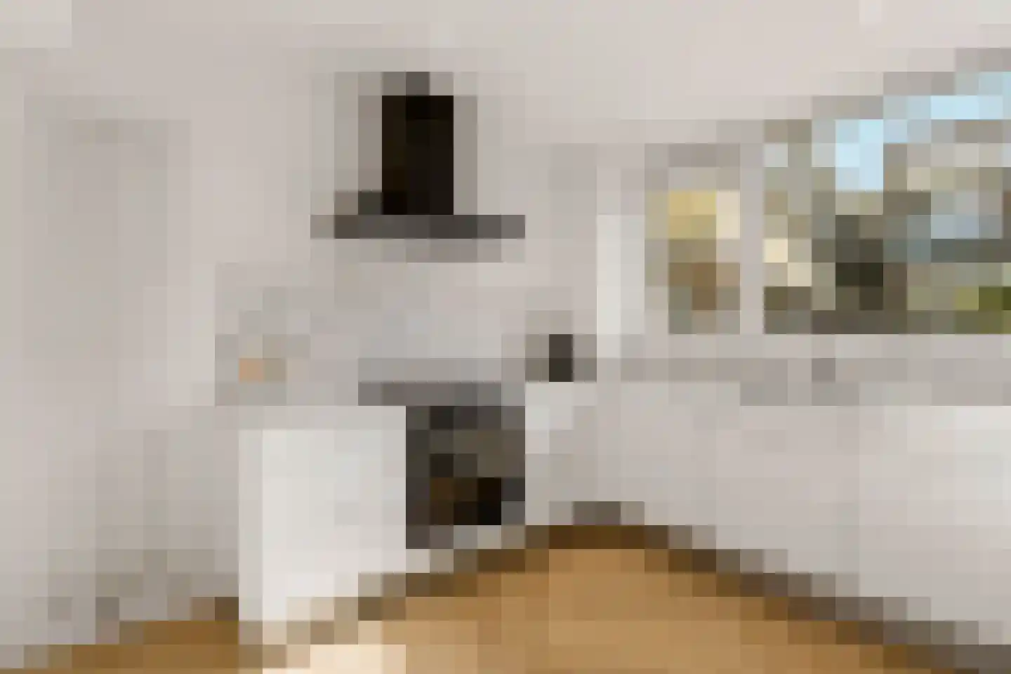 Mariënburgsestraat 21 Nijmegen thumbnail 5