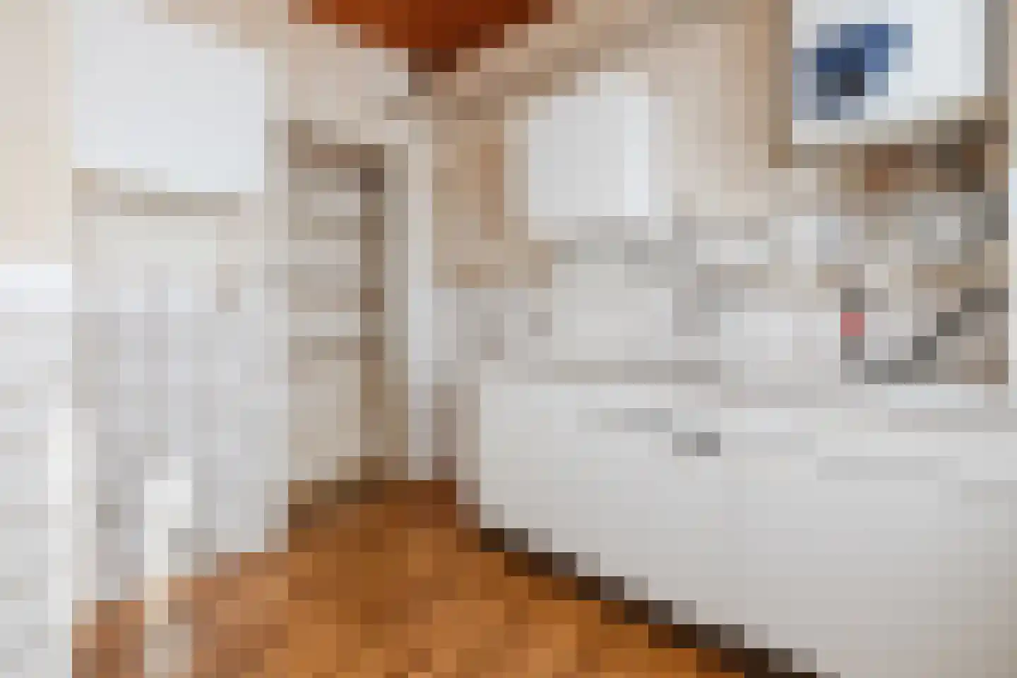 Mariënburgsestraat 25 Nijmegen thumbnail 7