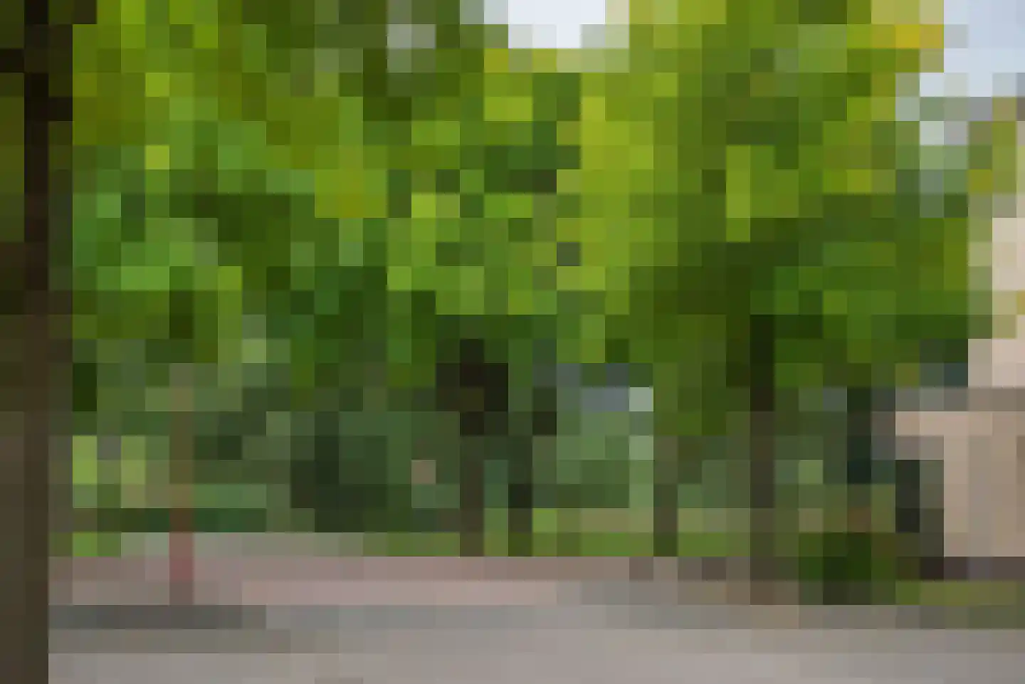 Mariëndaal 109 Enschede thumbnail 32