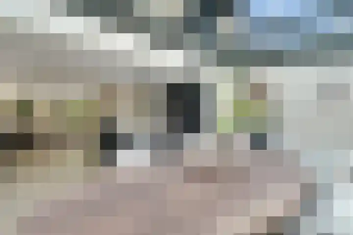 Mariëndaal 97 Enschede thumbnail 18