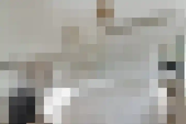 Mariëndaal 97 Enschede thumbnail 22