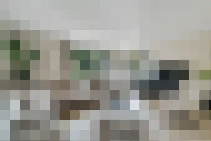 Mariëndaal 97 Enschede thumbnail 8