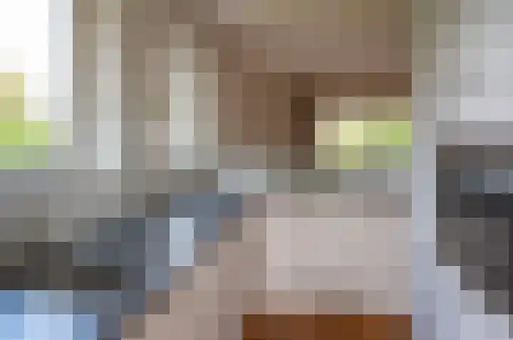 Mariëndaalseweg 2 Angerlo thumbnail 10