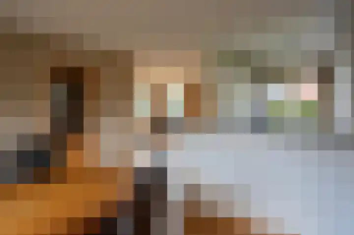 Mariëndaalseweg 2 Angerlo thumbnail 12