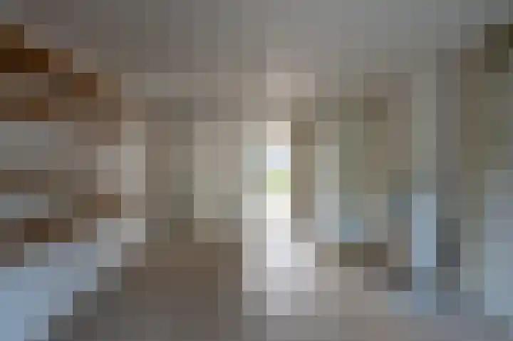 Mariëndaalseweg 2 Angerlo thumbnail 24