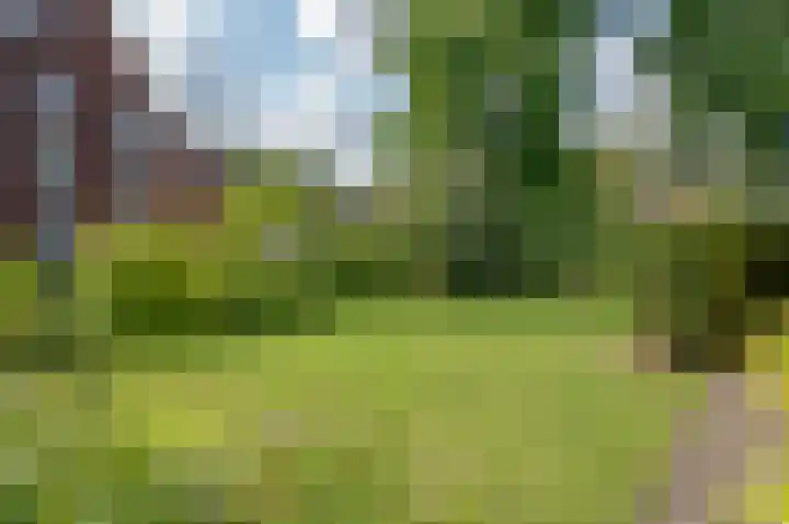 Mariëndaalseweg 2 Angerlo thumbnail 26