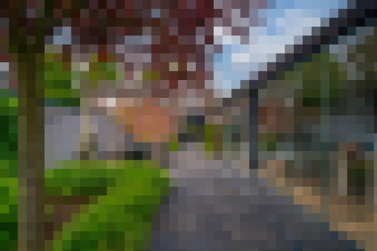 Mariëndaalseweg 9 Angerlo thumbnail 18