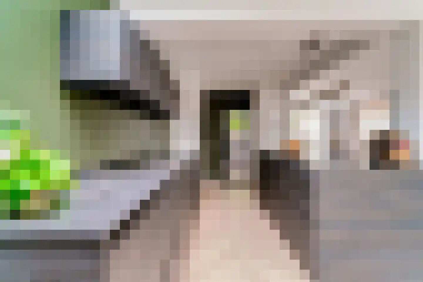 Mariëndaalseweg 9 Angerlo thumbnail 27