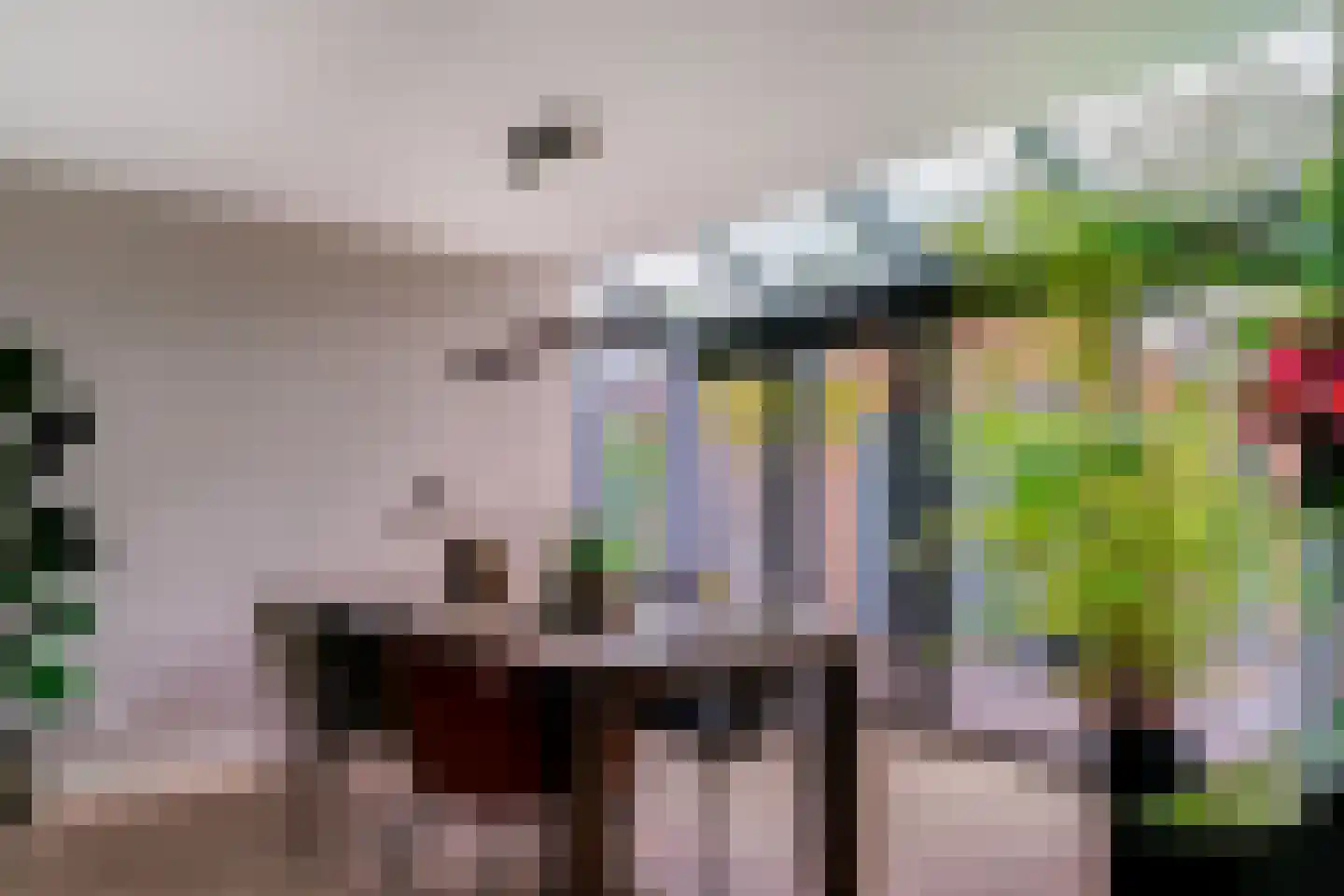 Mariëndaalseweg 9 Angerlo thumbnail 28