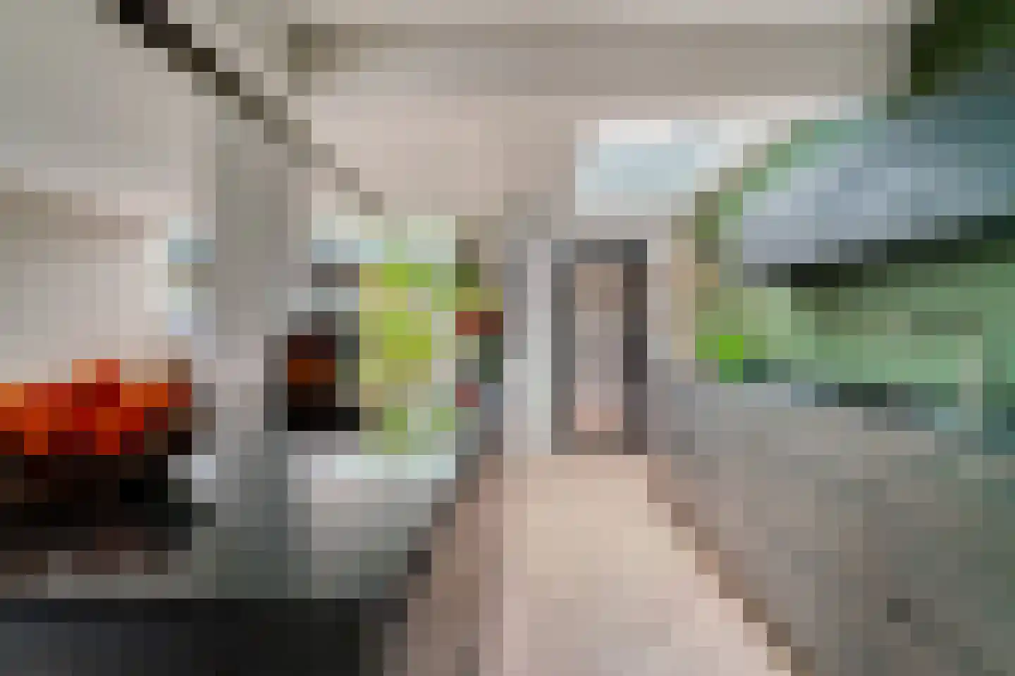 Mariëndaalseweg 9 Angerlo thumbnail 4