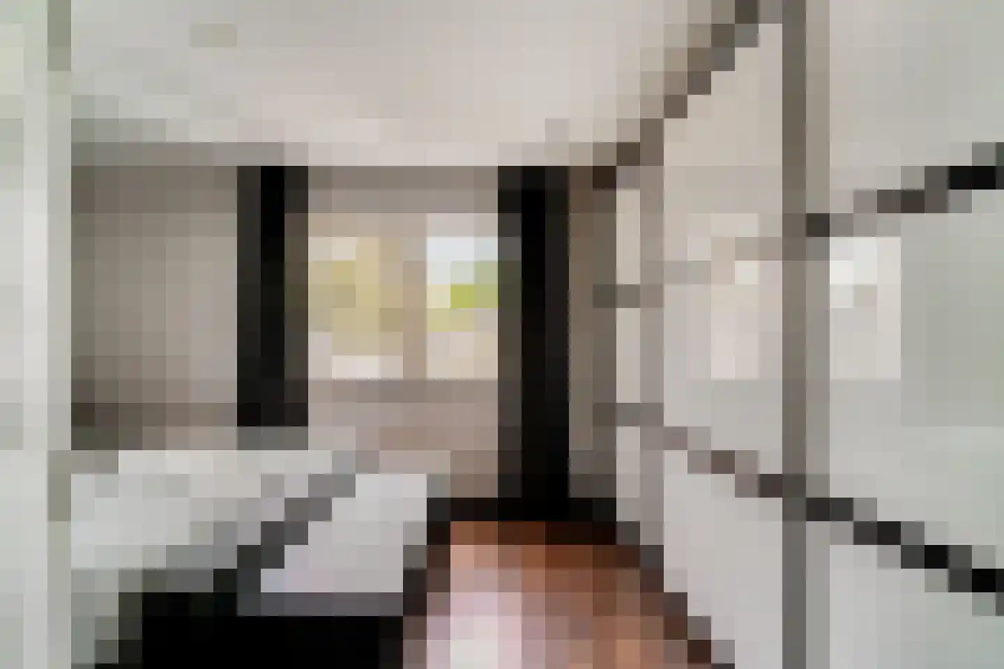 Mariëndaalseweg 9 Angerlo thumbnail 42