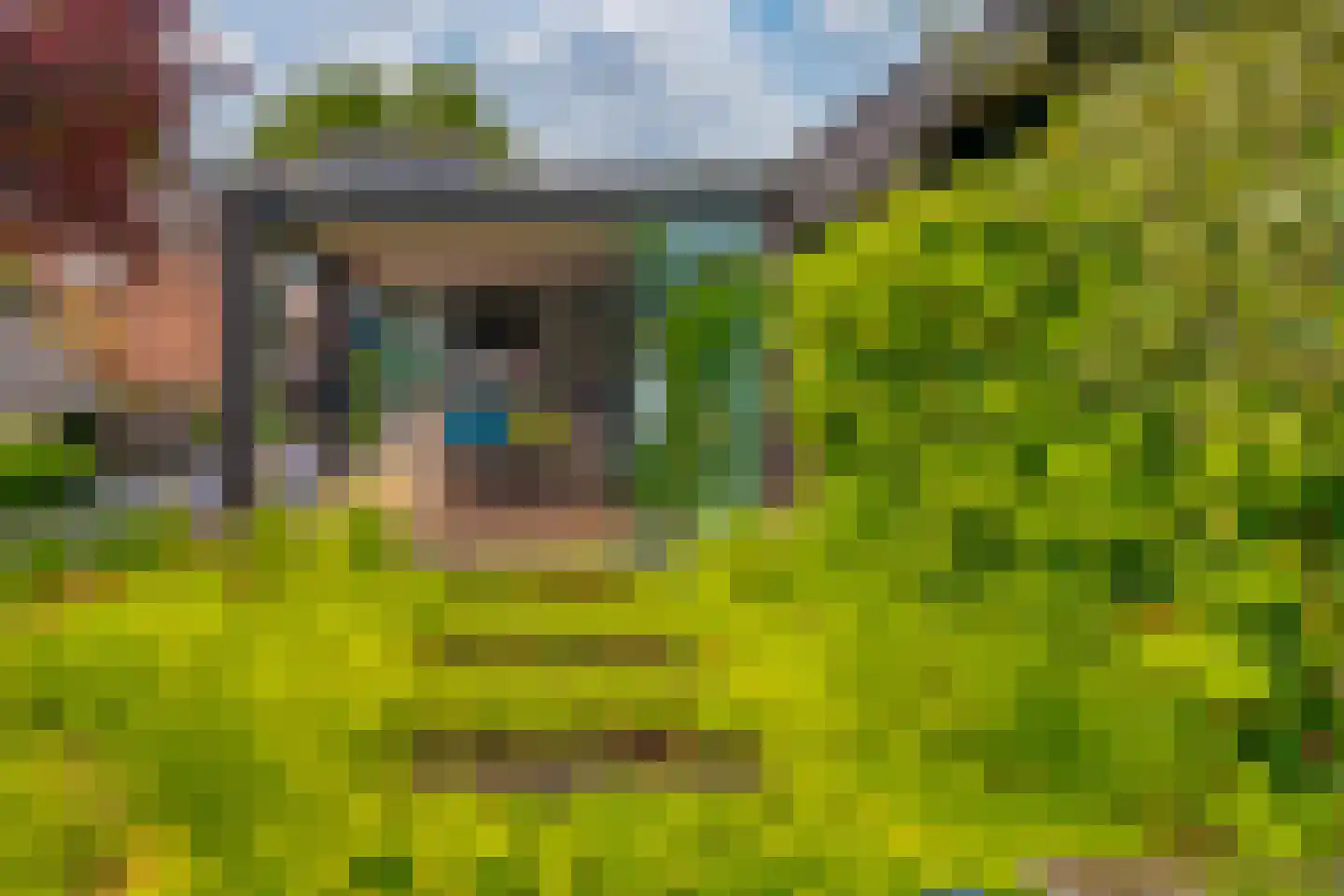 Mariëndaalseweg 9 Angerlo thumbnail 60