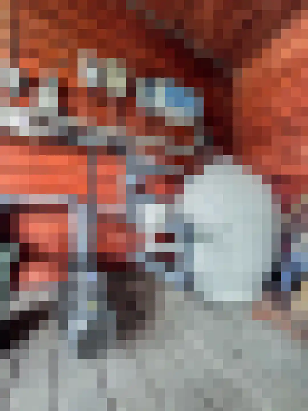 Mariëndaalseweg 9 Angerlo thumbnail 63