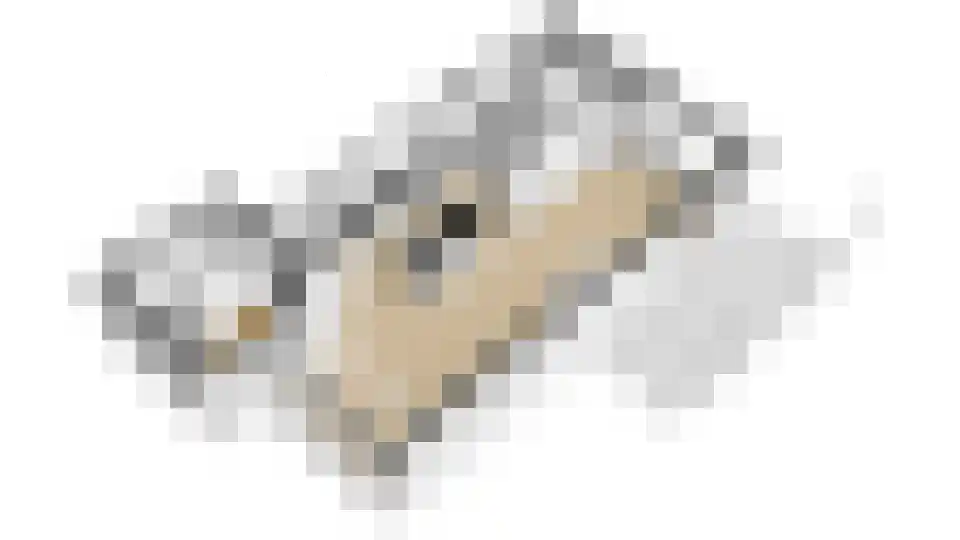 Mariëndaalseweg 9 Angerlo thumbnail 66