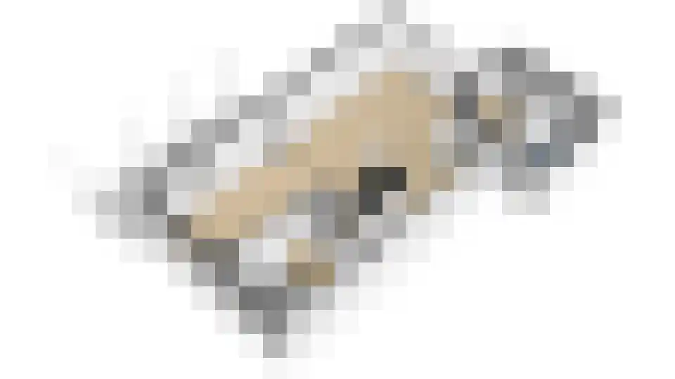 Mariëndaalseweg 9 Angerlo thumbnail 67