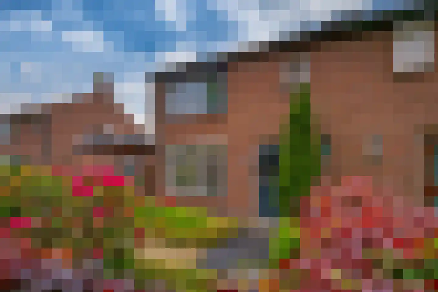 Mariëndaalseweg 9 Angerlo thumbnail 7
