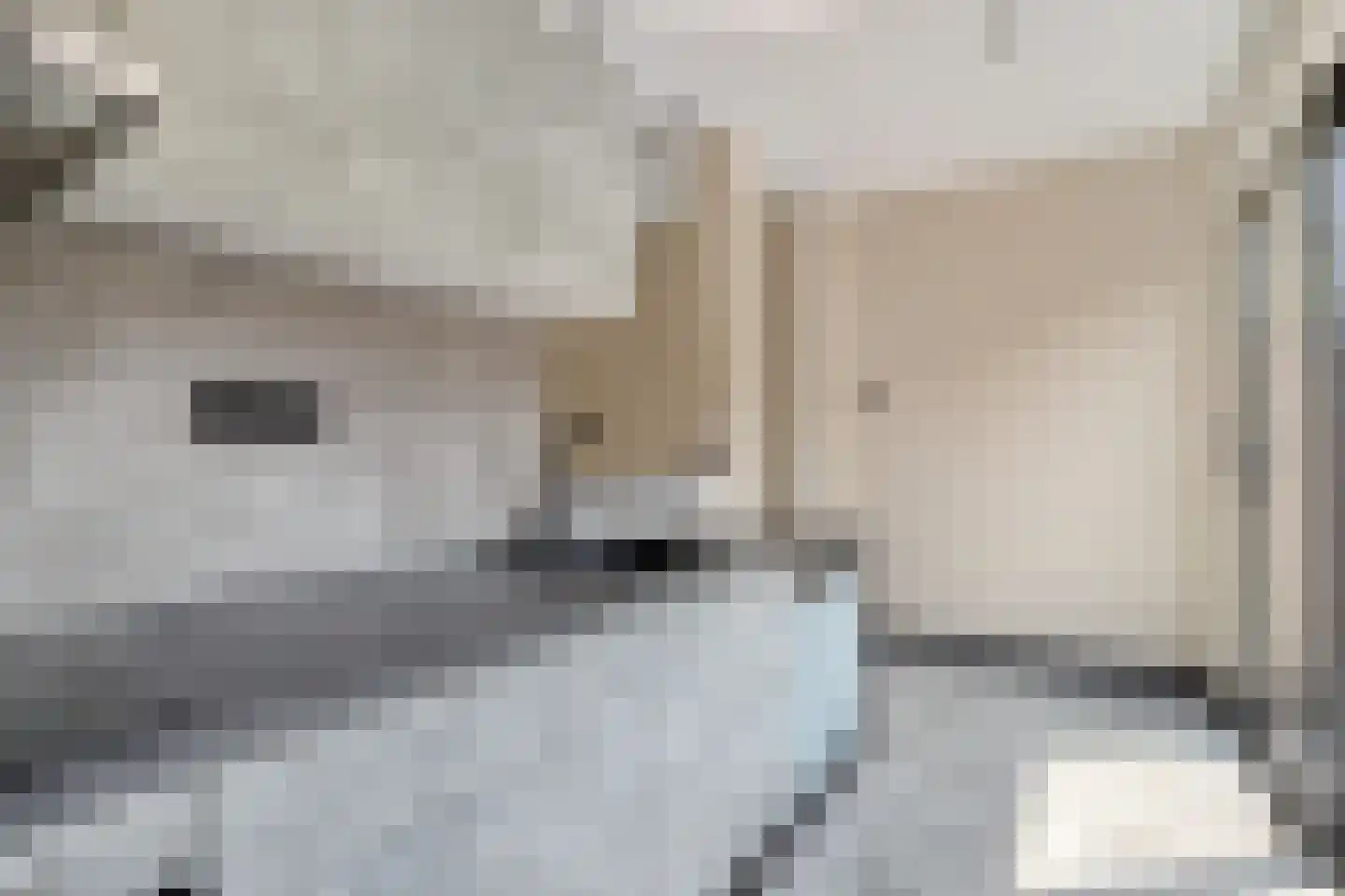 Mariëndaalstraat 6 Utrecht thumbnail 4