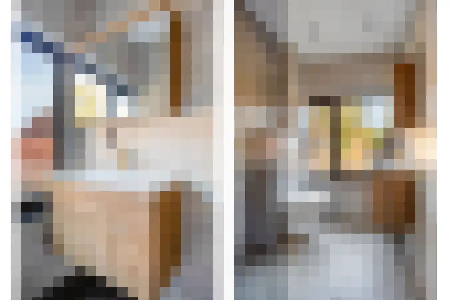 Mariëndaalstraat 6 Utrecht thumbnail 5