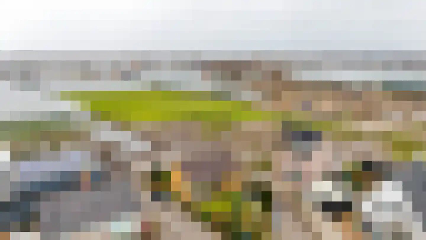 Mariëndijk 117 Kwintsheul thumbnail 28