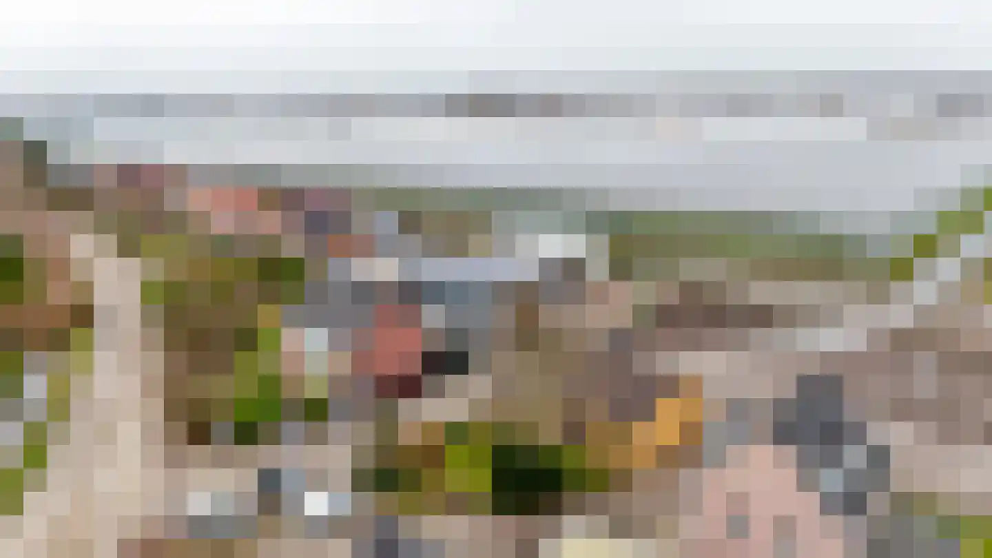 Mariëndijk 117 Kwintsheul thumbnail 29