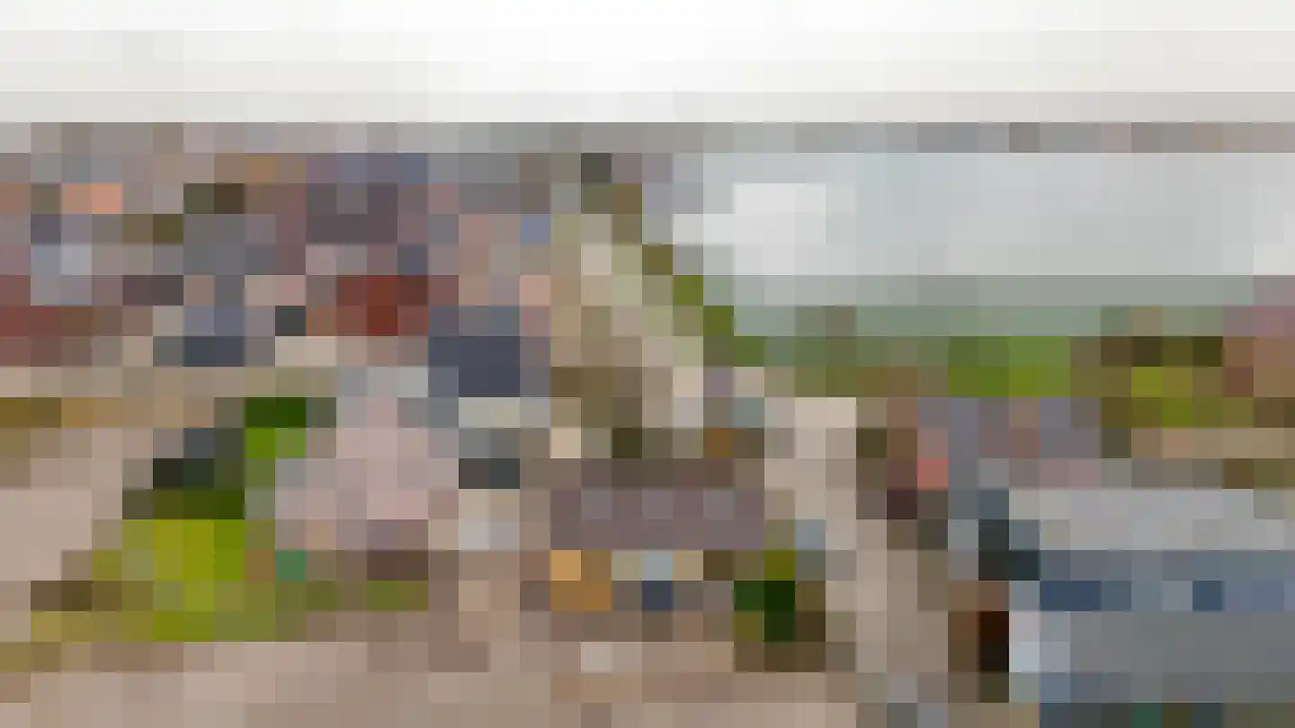 Mariëndijk 117 Kwintsheul thumbnail 30
