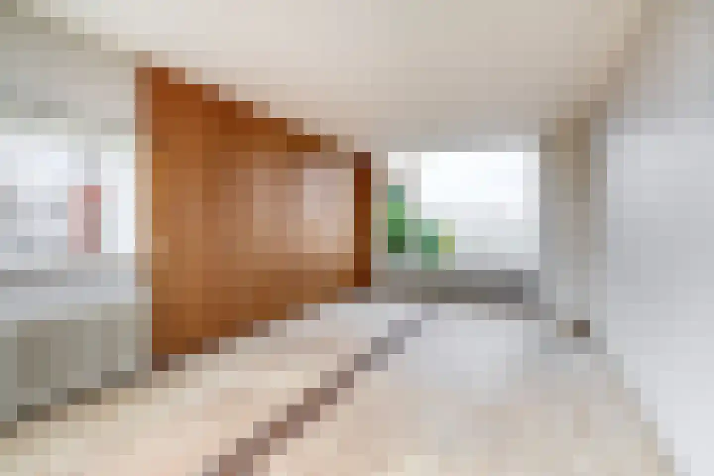 Mariëndijk 117 Kwintsheul thumbnail 4