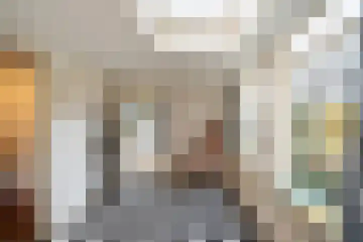 Mariëndijk 17 Honselersdijk thumbnail 11