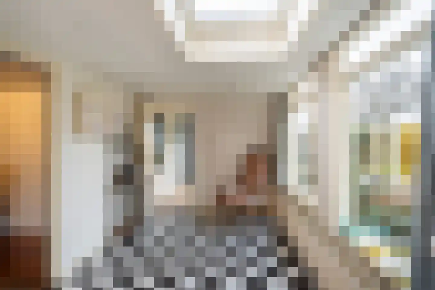 Mariëndijk 17 Honselersdijk thumbnail 11