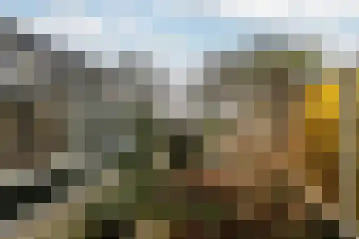 Mariëndijk 17 Honselersdijk thumbnail 15