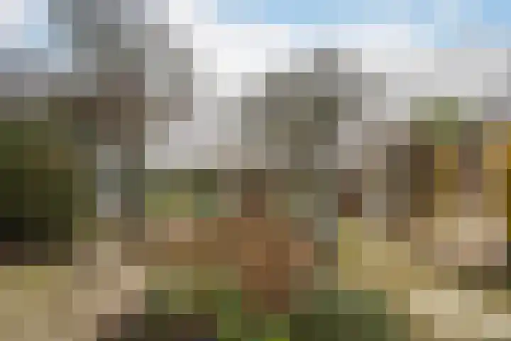 Mariëndijk 17 Honselersdijk thumbnail 16
