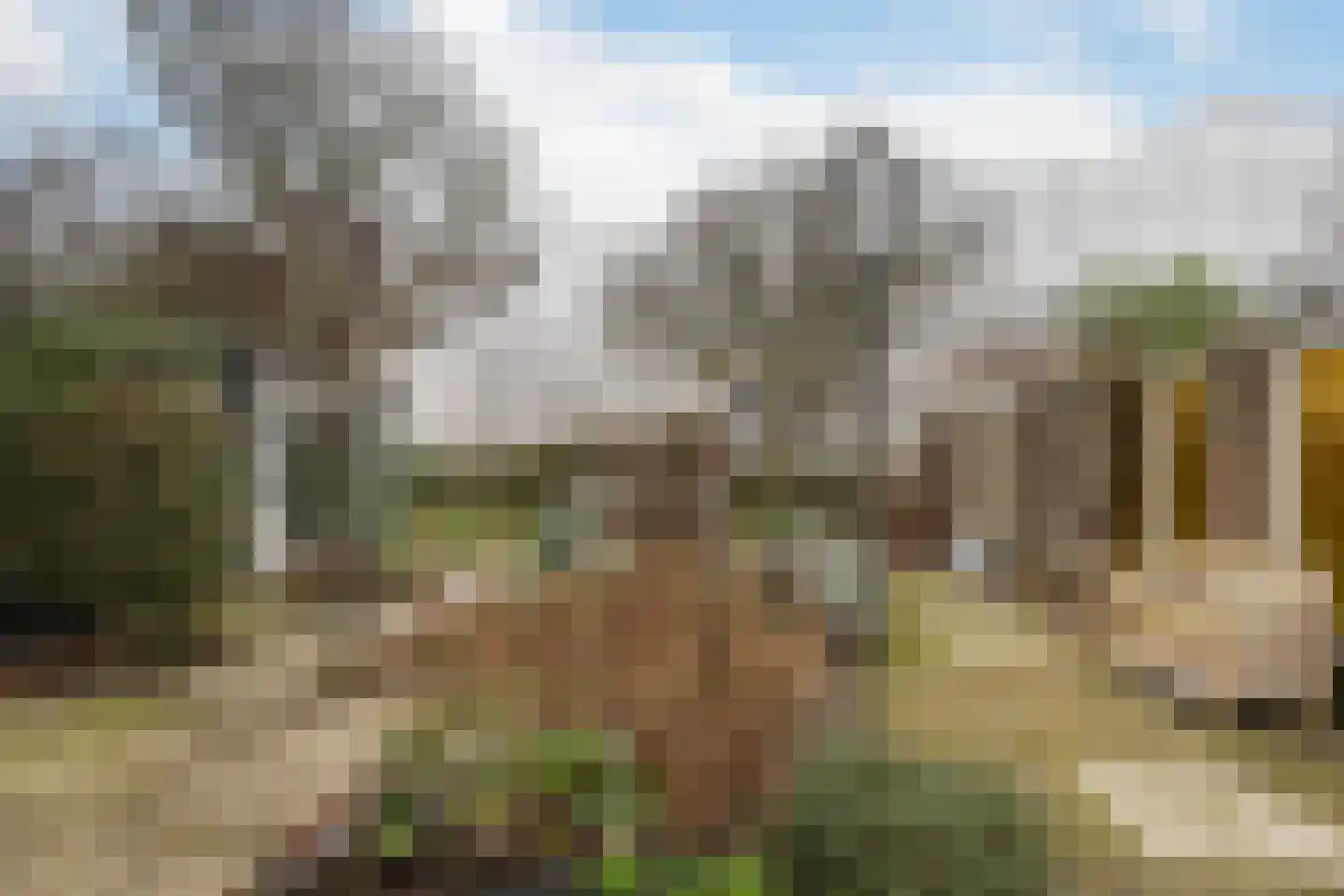 Mariëndijk 17 Honselersdijk thumbnail 16