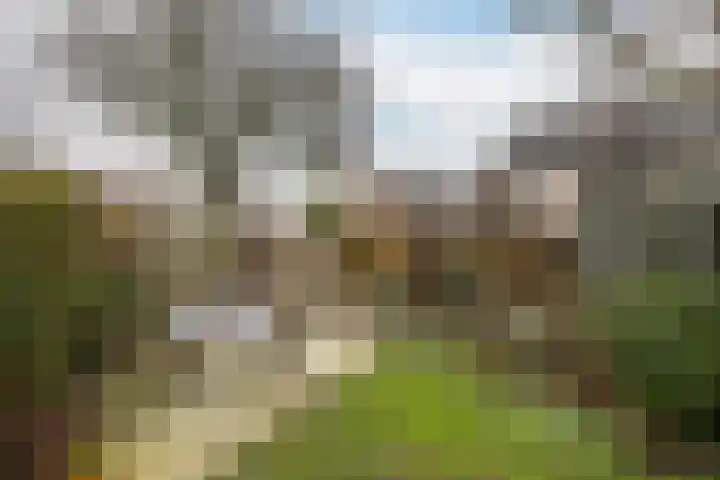 Mariëndijk 17 Honselersdijk thumbnail 18
