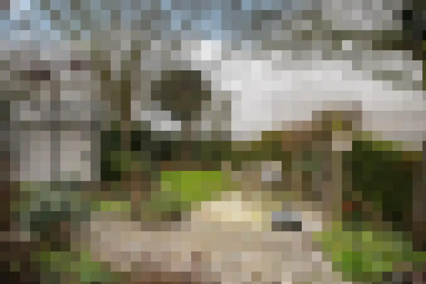 Mariëndijk 17 Honselersdijk thumbnail 19