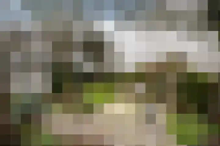 Mariëndijk 17 Honselersdijk thumbnail 19