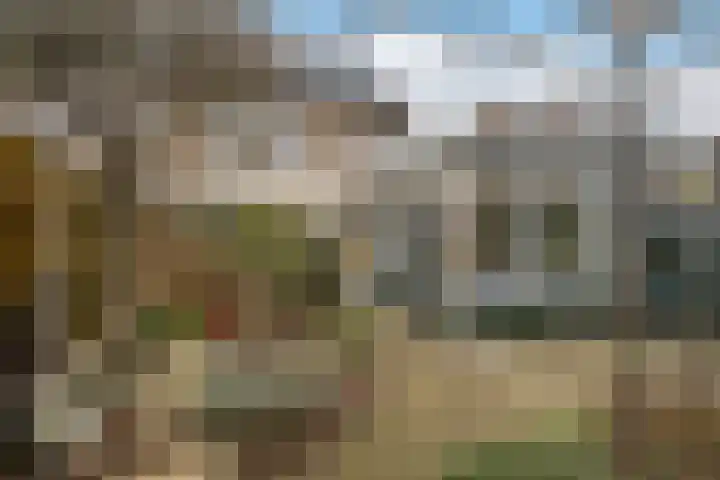 Mariëndijk 17 Honselersdijk thumbnail 20
