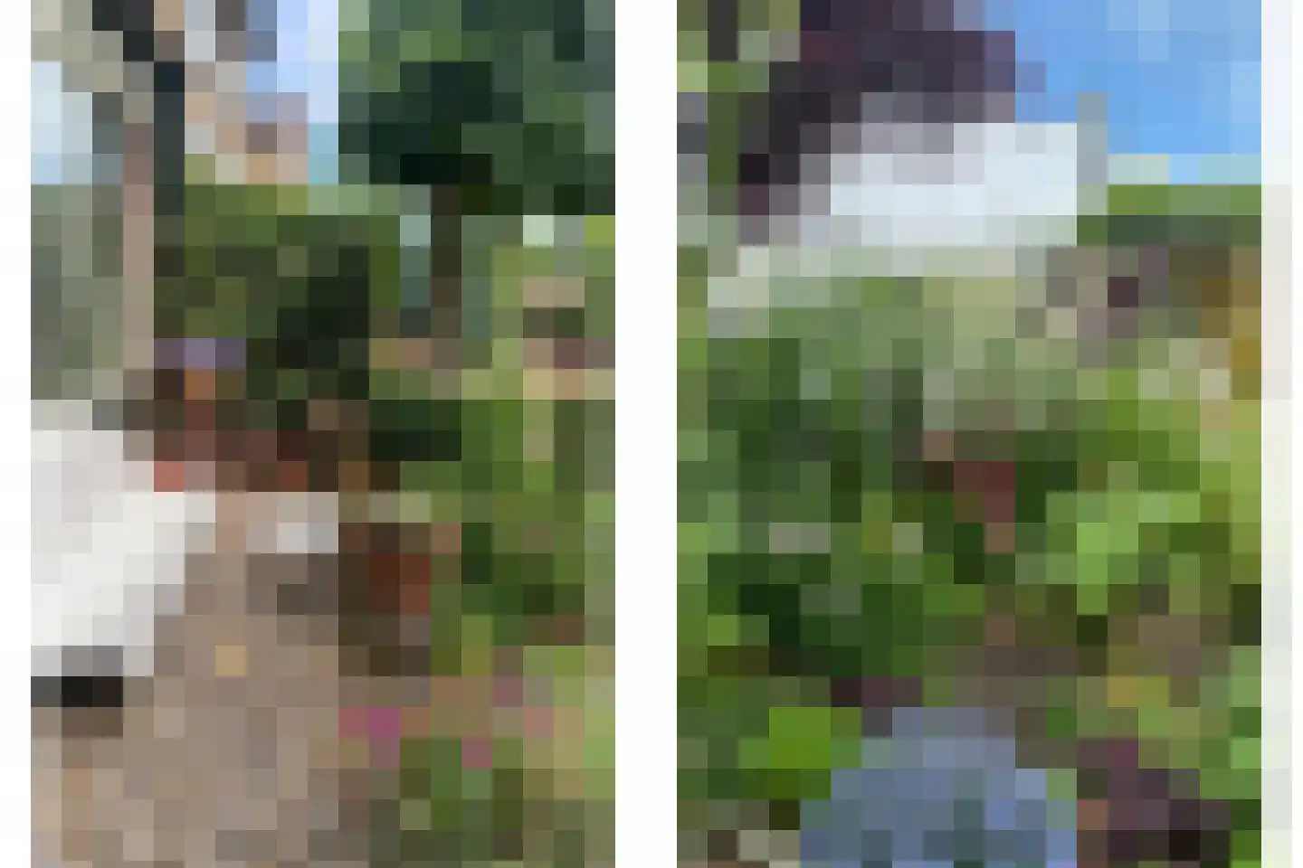 Mariëndijk 17 Honselersdijk thumbnail 21