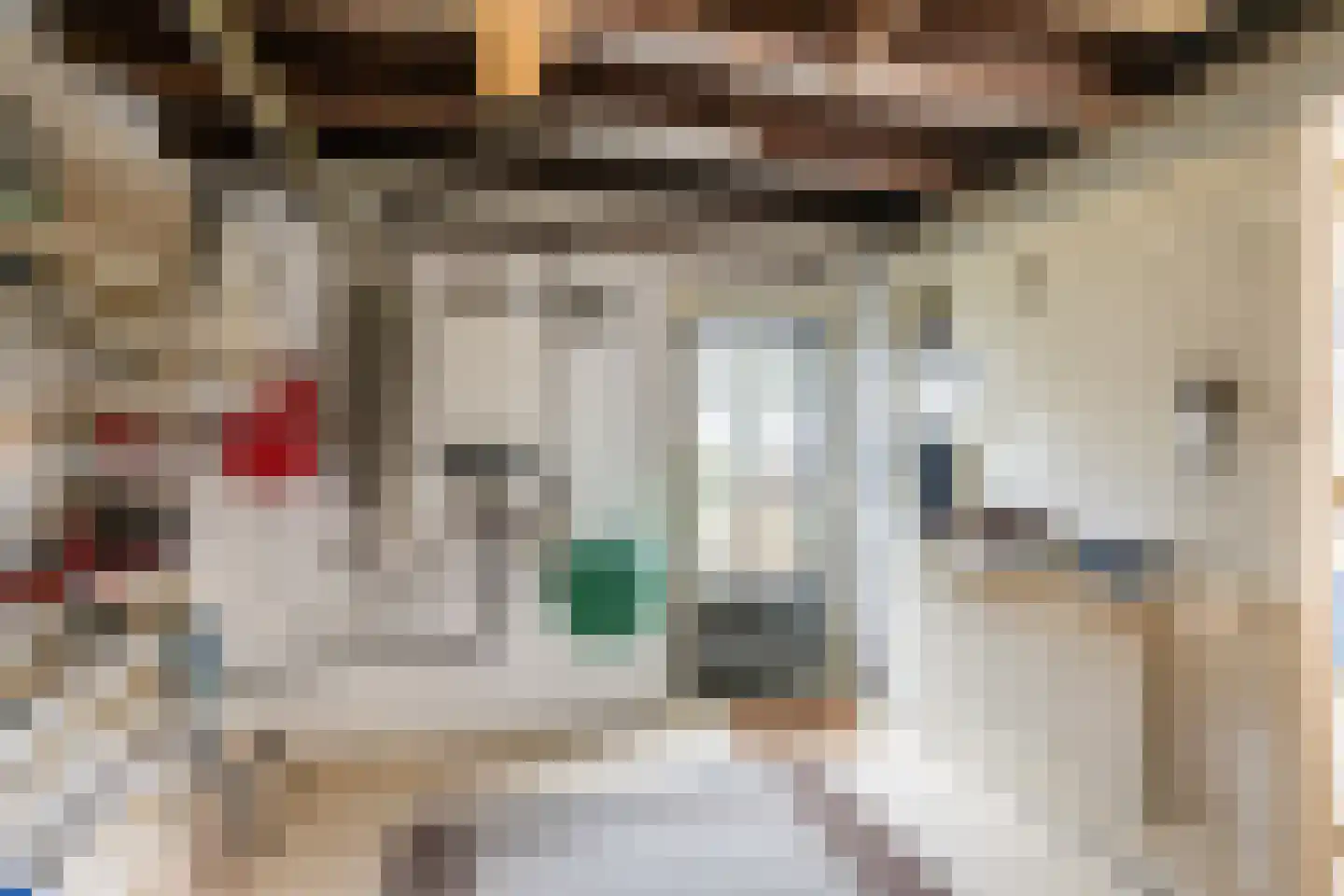 Mariëndijk 17 Honselersdijk thumbnail 25
