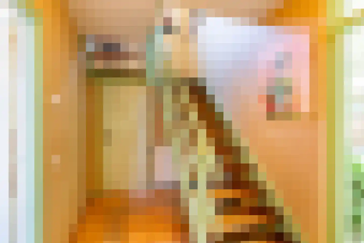 Mariëndijk 17 Honselersdijk thumbnail 28