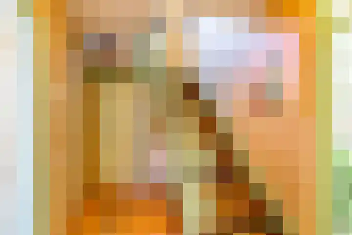 Mariëndijk 17 Honselersdijk thumbnail 28