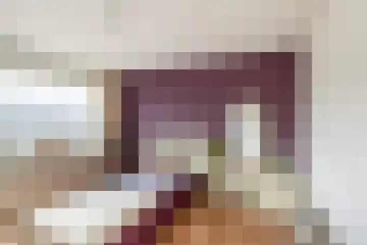 Mariëndijk 17 Honselersdijk thumbnail 31