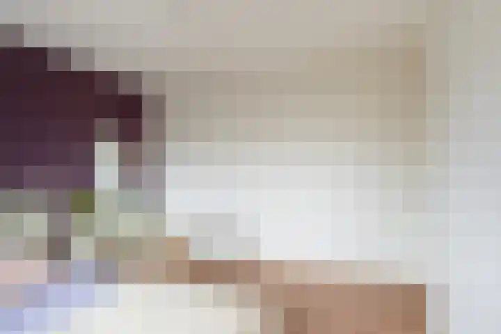 Mariëndijk 17 Honselersdijk thumbnail 33
