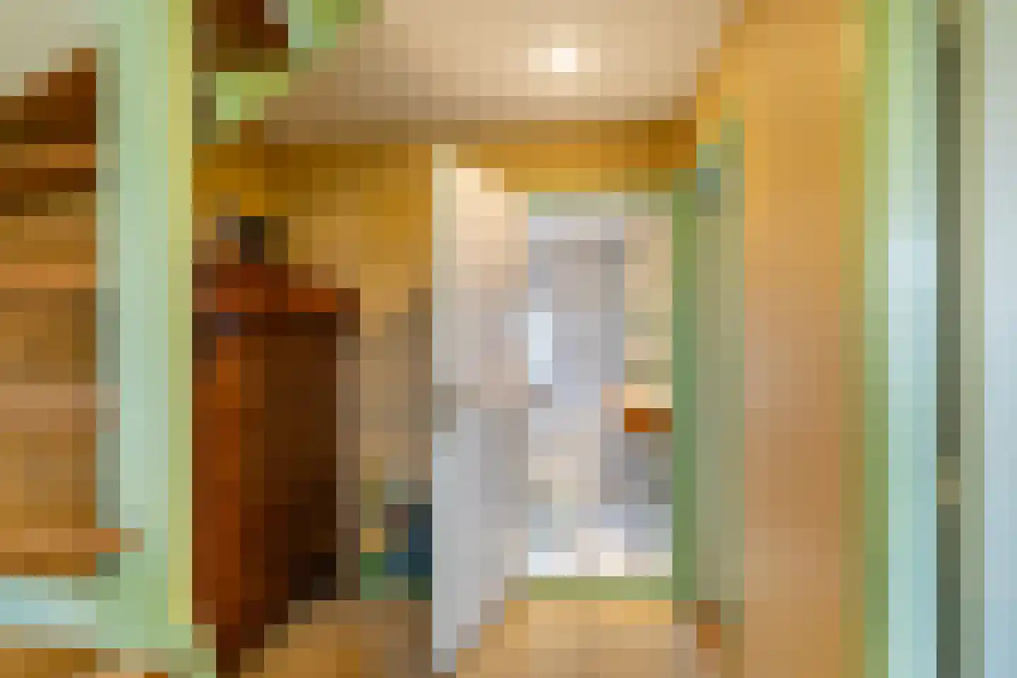Mariëndijk 17 Honselersdijk thumbnail 34