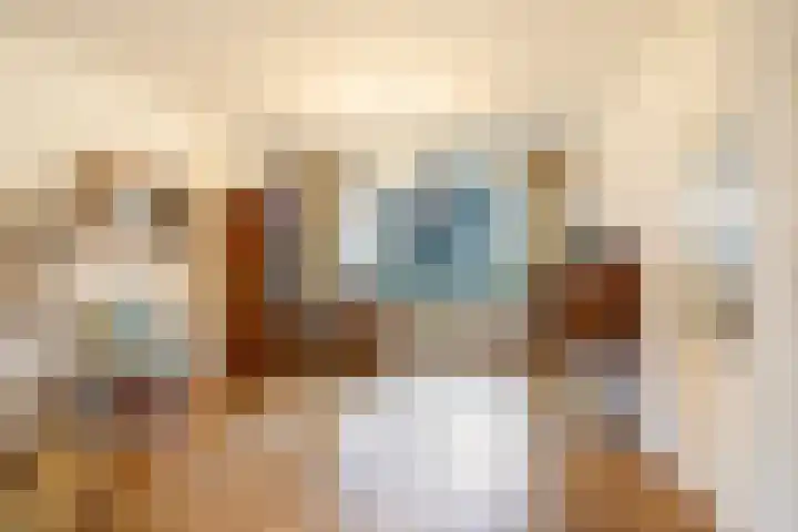 Mariëndijk 17 Honselersdijk thumbnail 4