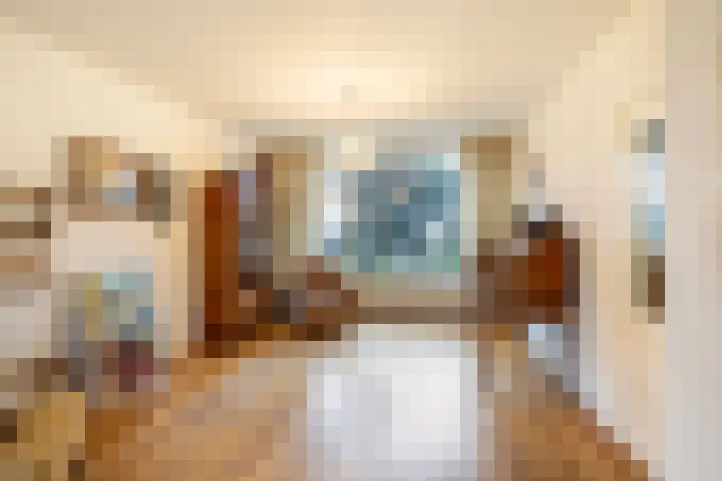 Mariëndijk 17 Honselersdijk thumbnail 4