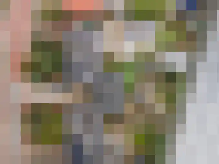 Mariëndijk 17 Honselersdijk thumbnail 51