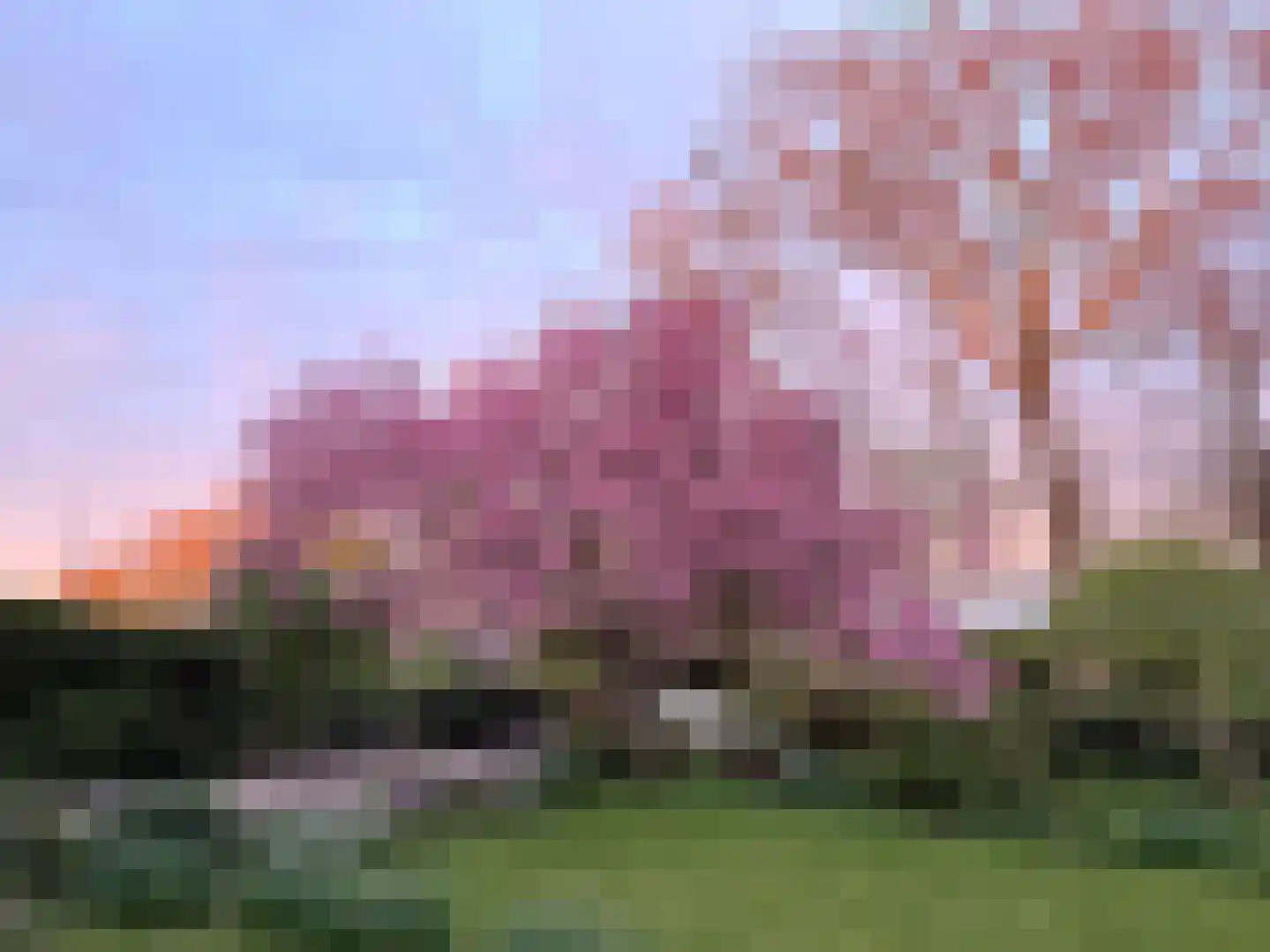 Mariëndijk 57 A Honselersdijk thumbnail 31