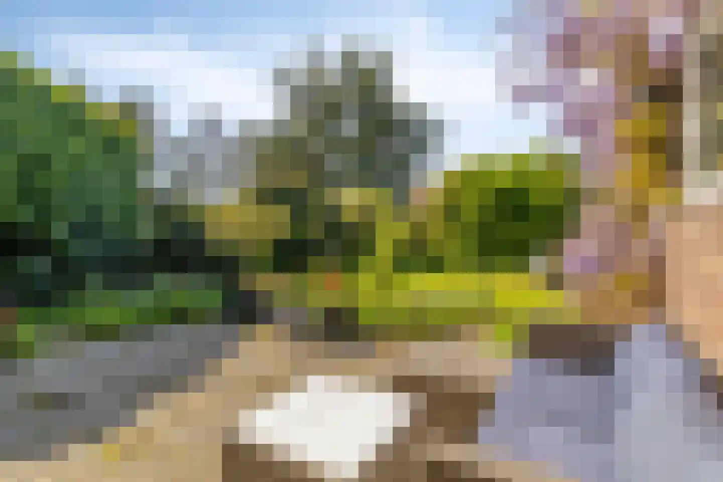 Mariëndijk 57 A Honselersdijk thumbnail 34